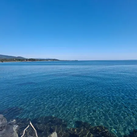A Felicità Dantone En Bord De *